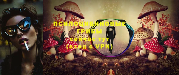 мет Новодвинск
