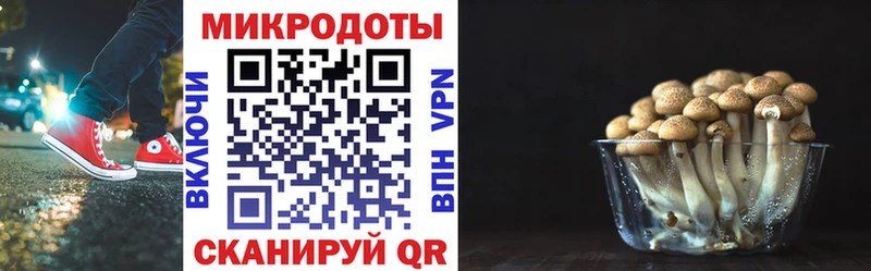 hydra сайт  Суворов  Псилоцибиновые грибы MAGIC MUSHROOMS 