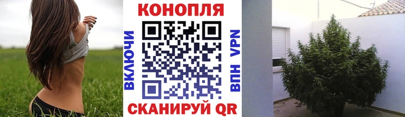 Конопля SATIVA & INDICA  ссылка на мегу ТОР  Суворов 